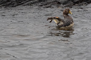 20191217-0865.jpg