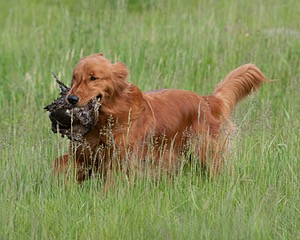 20080531-HRL-0095.jpg