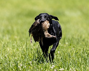 20220605-FINL-1791.jpg