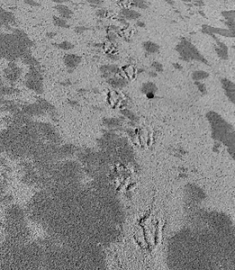 20191209-0411.jpg