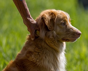 Maxine (Max) Patterson