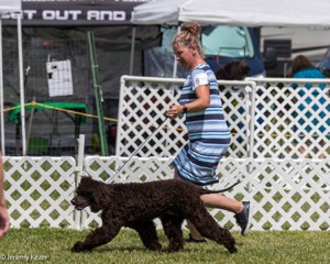 08 - Poole's Ide Your A Pop-Star Chantico (Poppy)