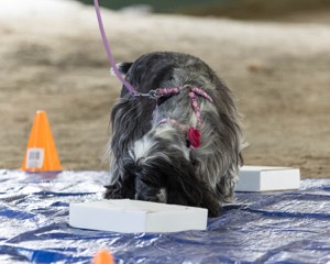 20260718-NSKC-0188.jpg