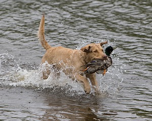 20080531-HRW-0035.jpg