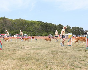 20150612-CCKCMC-0110.jpg