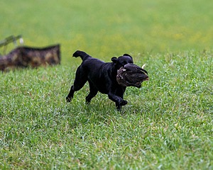 20150913-SEAL-0349.jpg