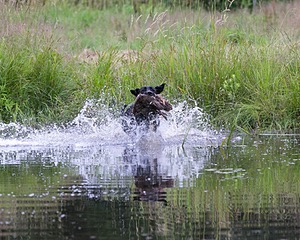 20130713-MHB2-0203.jpg