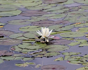 20190817-C-0009.jpg