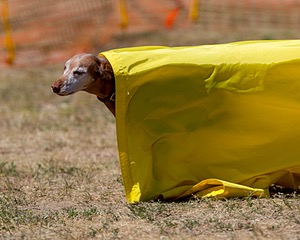 20160619-CCKC-1417.jpg