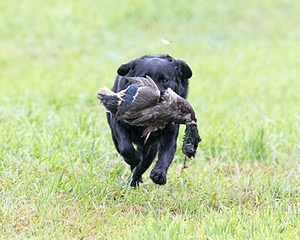 20171008-WCL-0753.jpg
