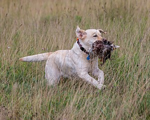 20180804-JHL-0006.jpg