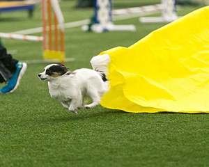 20150322-LEAP-0055.jpg