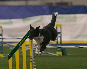 20150321-LEAP-0335.jpg
