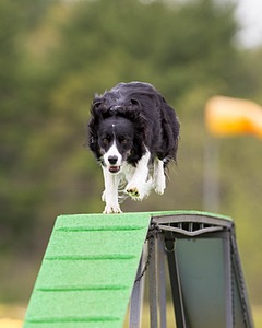 20160515-NEAT-1051.jpg
