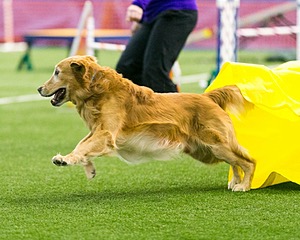 20150322-LEAP-0529.jpg