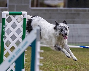 20230917-PVKC-3123.jpg