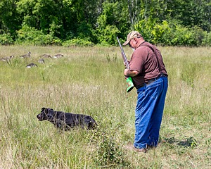 20180805-SHL-0974.jpg