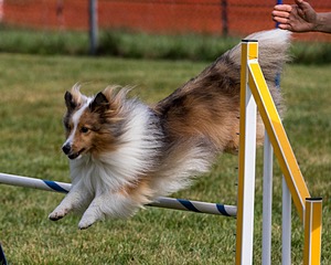 20200819-0341.jpg