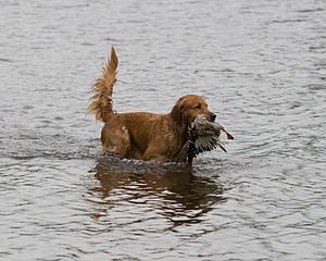 20080531-HRW-0297.jpg