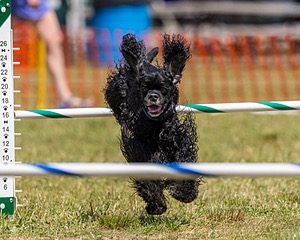 20180617-1364.jpg