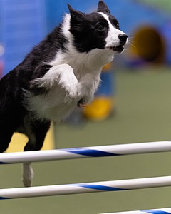 20260221-0868.jpg