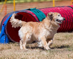 Odie Seney