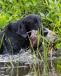 20130713-MHB2-0177.jpg