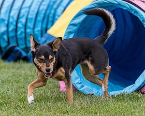 20200819-1924.jpg