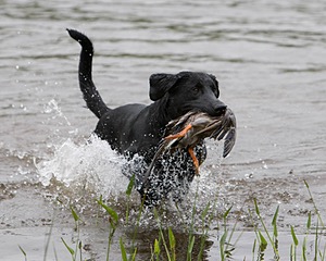 20080531-HRW-1022.jpg