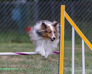 20200819-1934.jpg