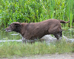 20130713-MHB2-0100.jpg