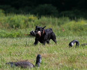 20130810-JHL-0324.jpg
