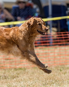 20160618-CCKC-1168.jpg
