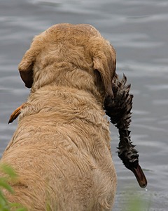 20080531-HRW-0067.jpg