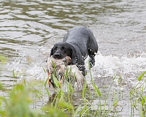 20080531-HRW-0637.jpg