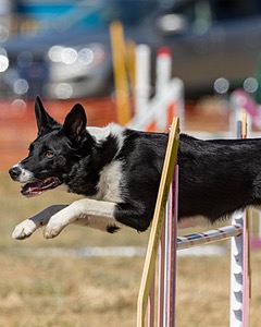 20160619-CCKC-1806.jpg