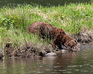20130602-SEAW-0517.jpg
