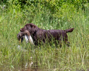Molly Brownell