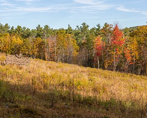 20191013-C-0015.jpg