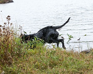 20141004-WCXW-0465.jpg