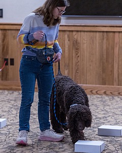 Oscar