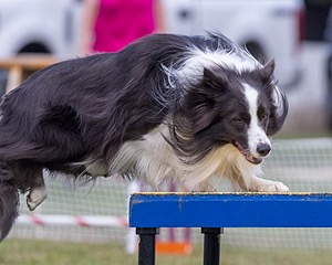 20230917-PVKC-2771.jpg