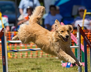 20190615-CCKC-1066.jpg