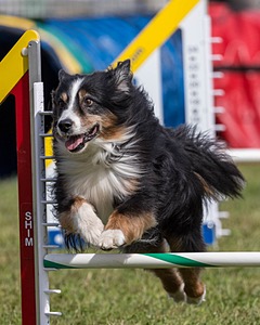 20230916-PVKC-1128.jpg