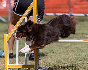 20200819-2204.jpg