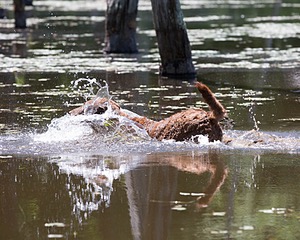 20130602-SEAW-0540.jpg