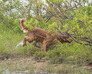 20080531-HRW-0336.jpg