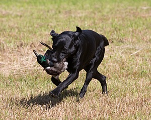 20130602-SEAL-0191.jpg