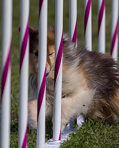 20230916-PVKC-1098.jpg