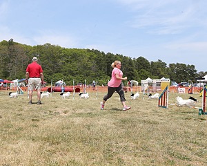 20150612-CCKCMC-0059.jpg